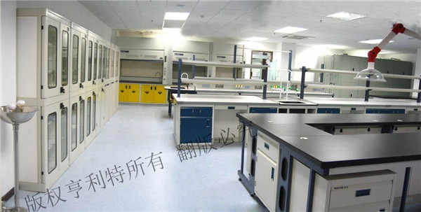 草莓视频成人网站實驗台